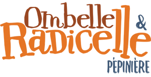 Ombelle et Radicelle